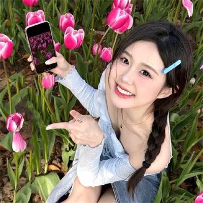 丛林之地